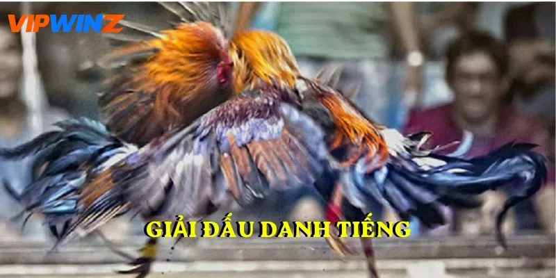 Giải đấu danh tiếng được phát sóng trên VIPWIN